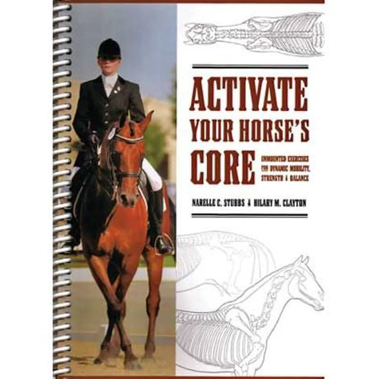 SPORT HORSE PUBLICAT Activate Your Horses Core Hot