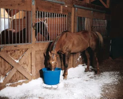 ANIMAL HEALTH INT API® 20-Quart Heated Flatback Bucket Blue Sale