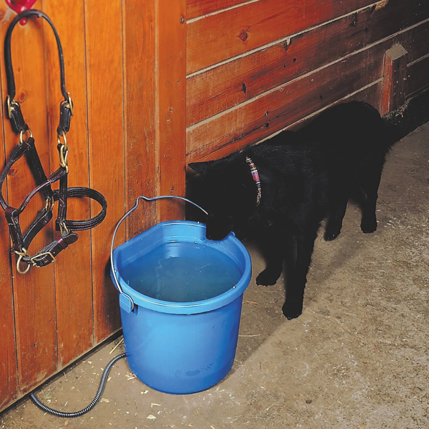 ANIMAL HEALTH INT API® 20-Quart Heated Flatback Bucket Blue Sale