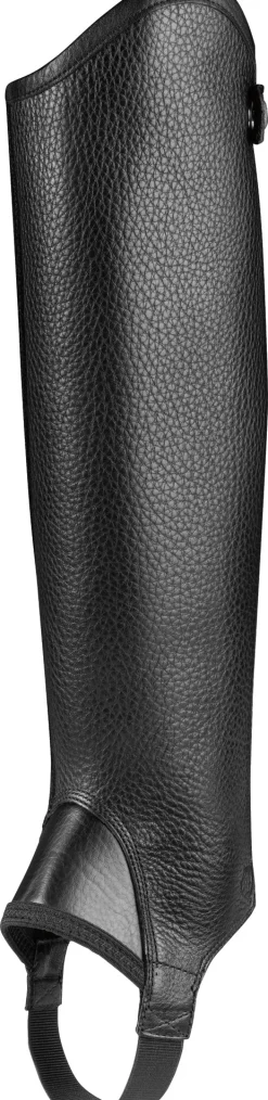 ARIAT ® Concord Half Chaps Clearance