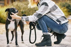 ARIAT ® Ladies’ Harper Waterproof Boots Sale