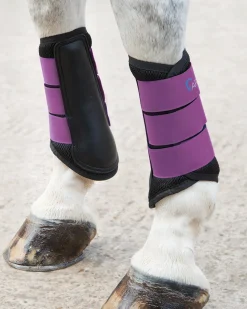SHIRES EQUESTRIAN ARMA Air Motion Brushing Boots Online