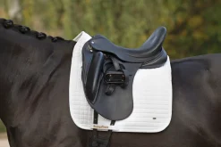 BACK ON TRACK BOT LL Back on Track® Dressage Pad Hot