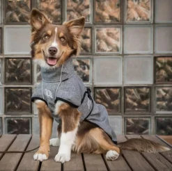 BACK ON TRACK BOT LL Back on Track® Nella Large Dog Coat Clearance