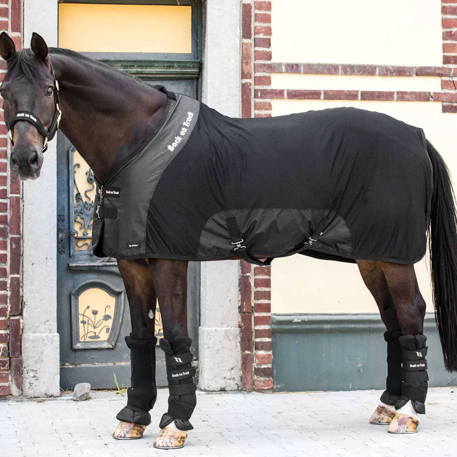 BACK ON TRACK BOT LL Back on Track® Royal Mesh Deluxe Sheet Black Best