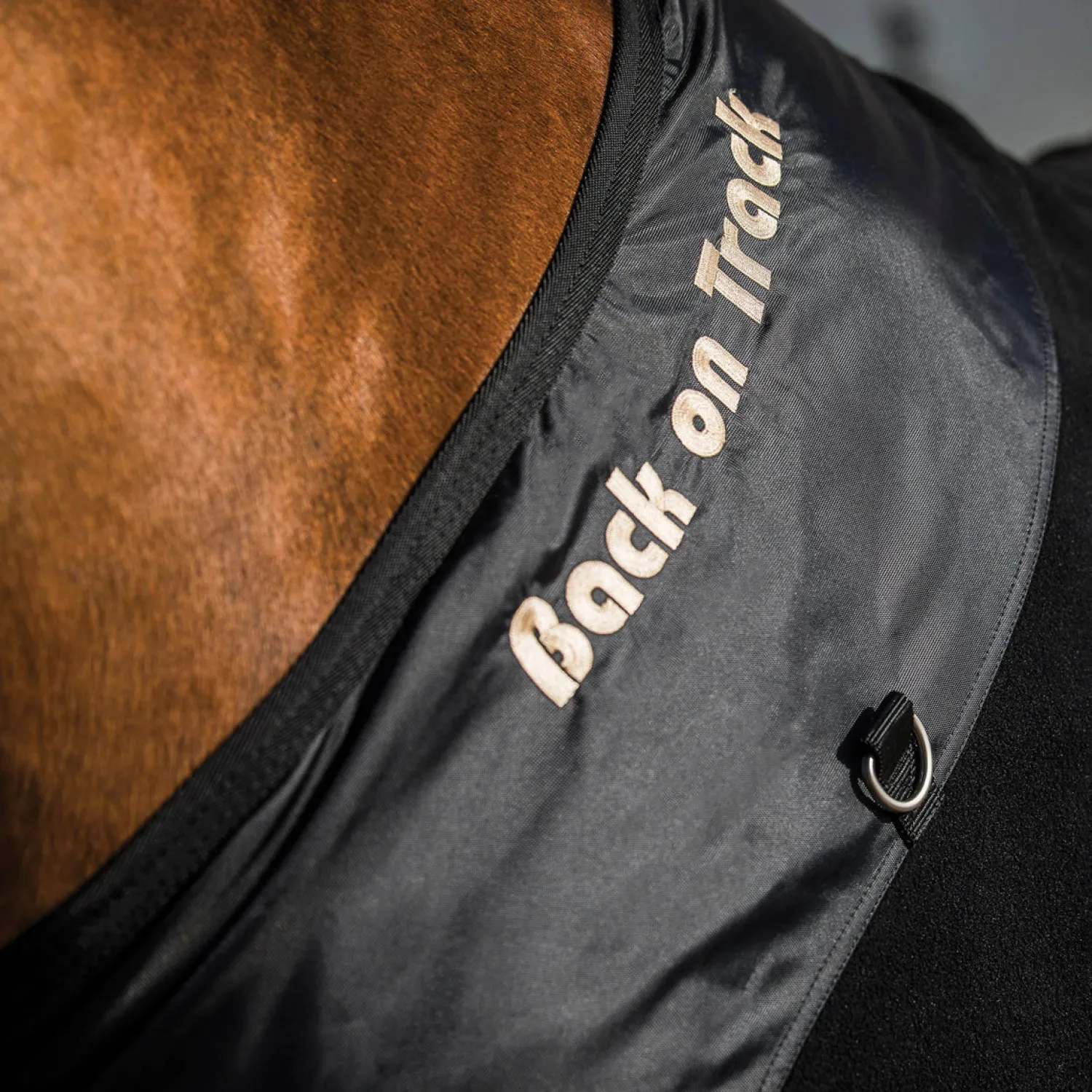 BACK ON TRACK BOT LL Back on Track® Supreme Fleece Blanket Black Clearance