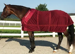 BACK ON TRACK BOT LL Back on Track® Therapeutic Mesh Horse Sheet