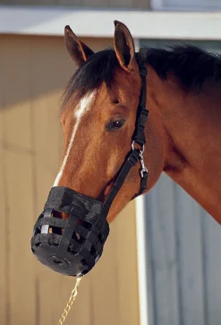 INTREPID INTL Best Friend® All-In-One Grazing Muzzle Black Online