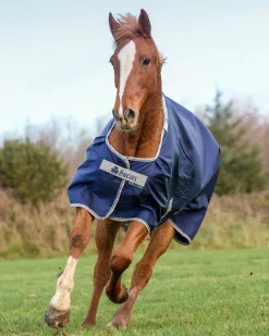 TOKLAT ORIGINALS Bucas Atlantic 200 Gram Turnout Blanket Sale