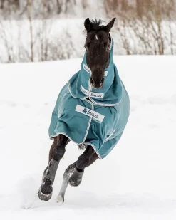 TOKLAT ORIGINALS Bucas Atlantic 50 Gram Turnout Blanket Spruce Online