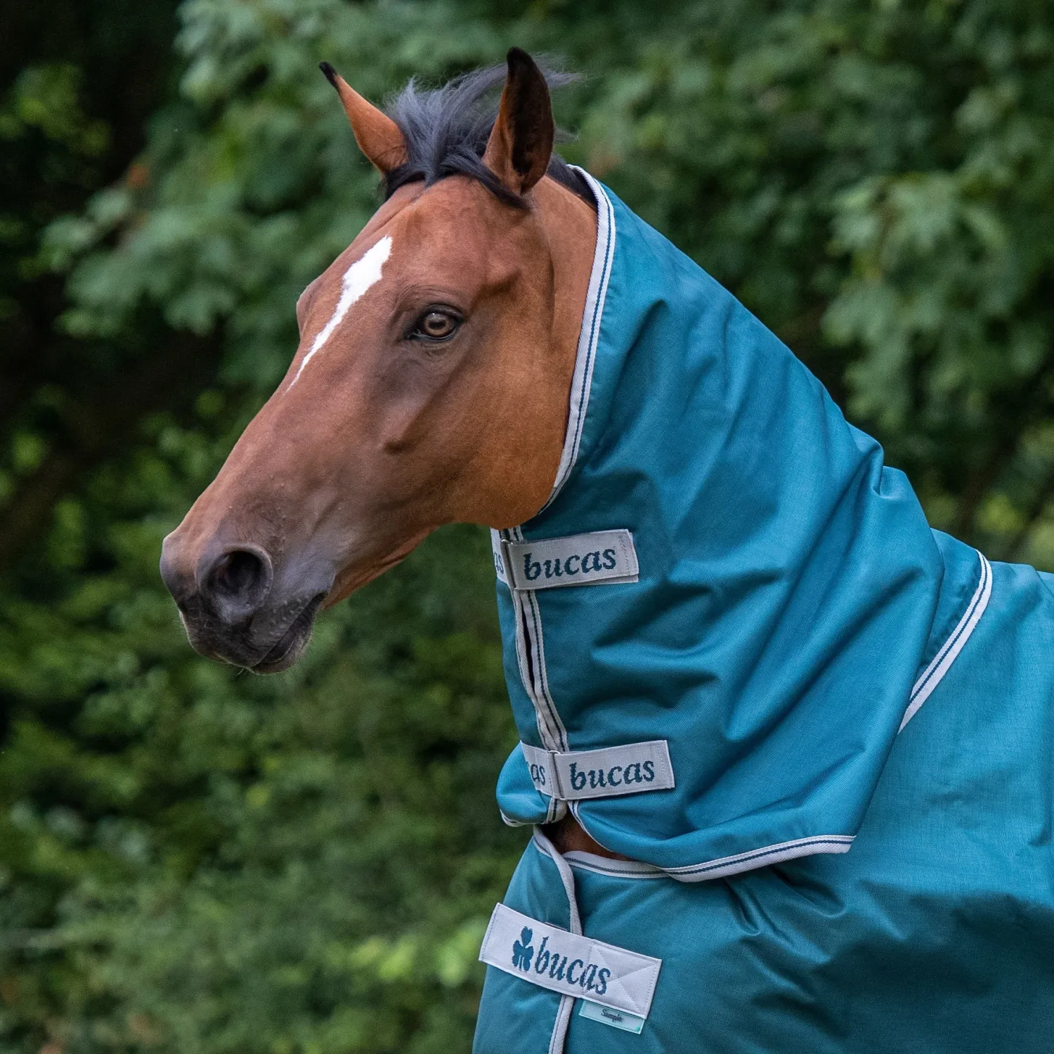 TOKLAT ORIGINALS Bucas Atlantic 400 Gram Turnout Blanket Spruce Discount