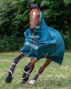 TOKLAT ORIGINALS Bucas Atlantic Combi Neck Cover - 50 Grams Sale