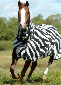 TOKLAT ORIGINALS Bucas Buzz-Off Fly Sheet with High Neck Zebra Online
