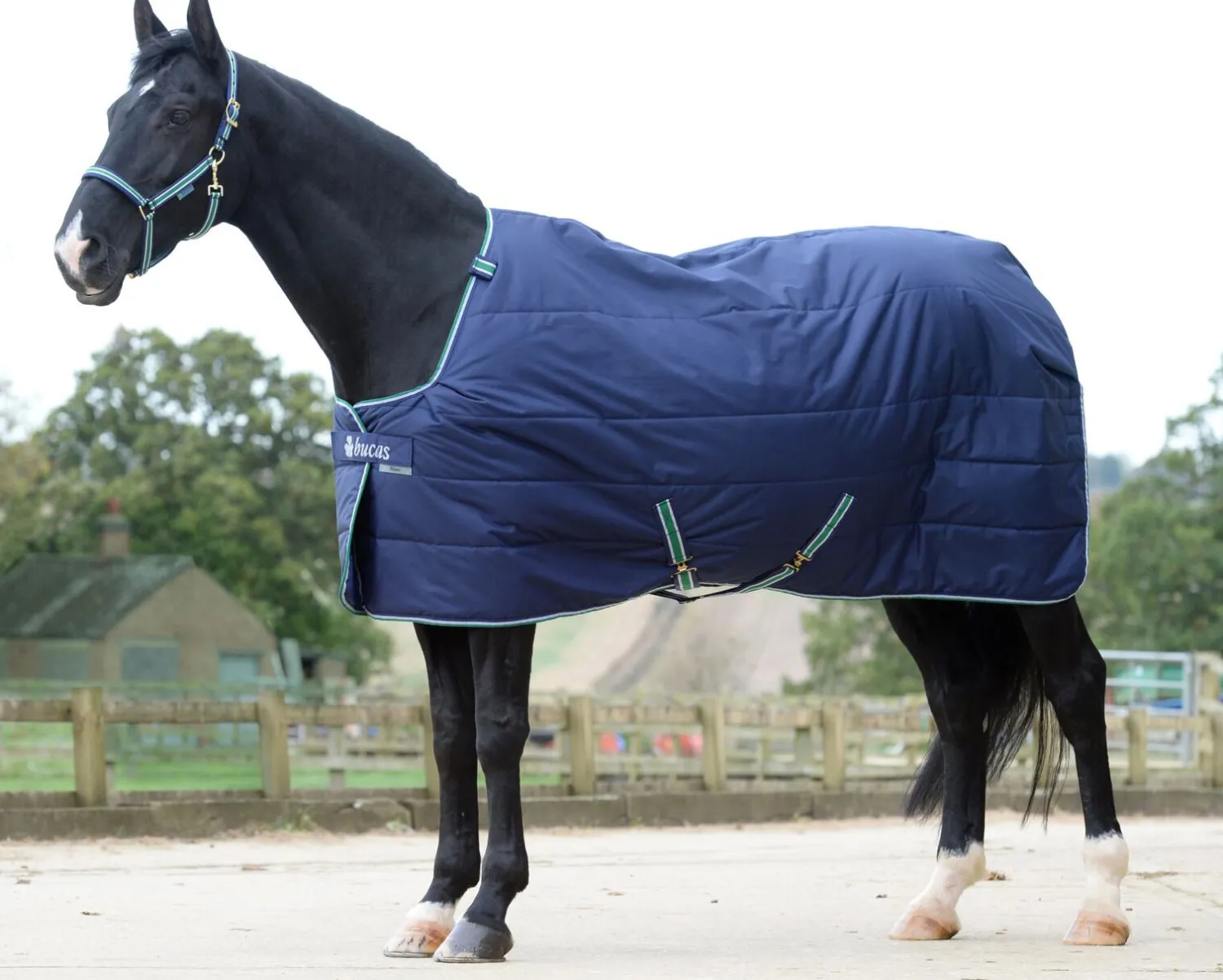 TOKLAT ORIGINALS Bucas Quilt Medium-Weight Stable Blanket with Stay Dry™ Lining - 150 grams Navy Online