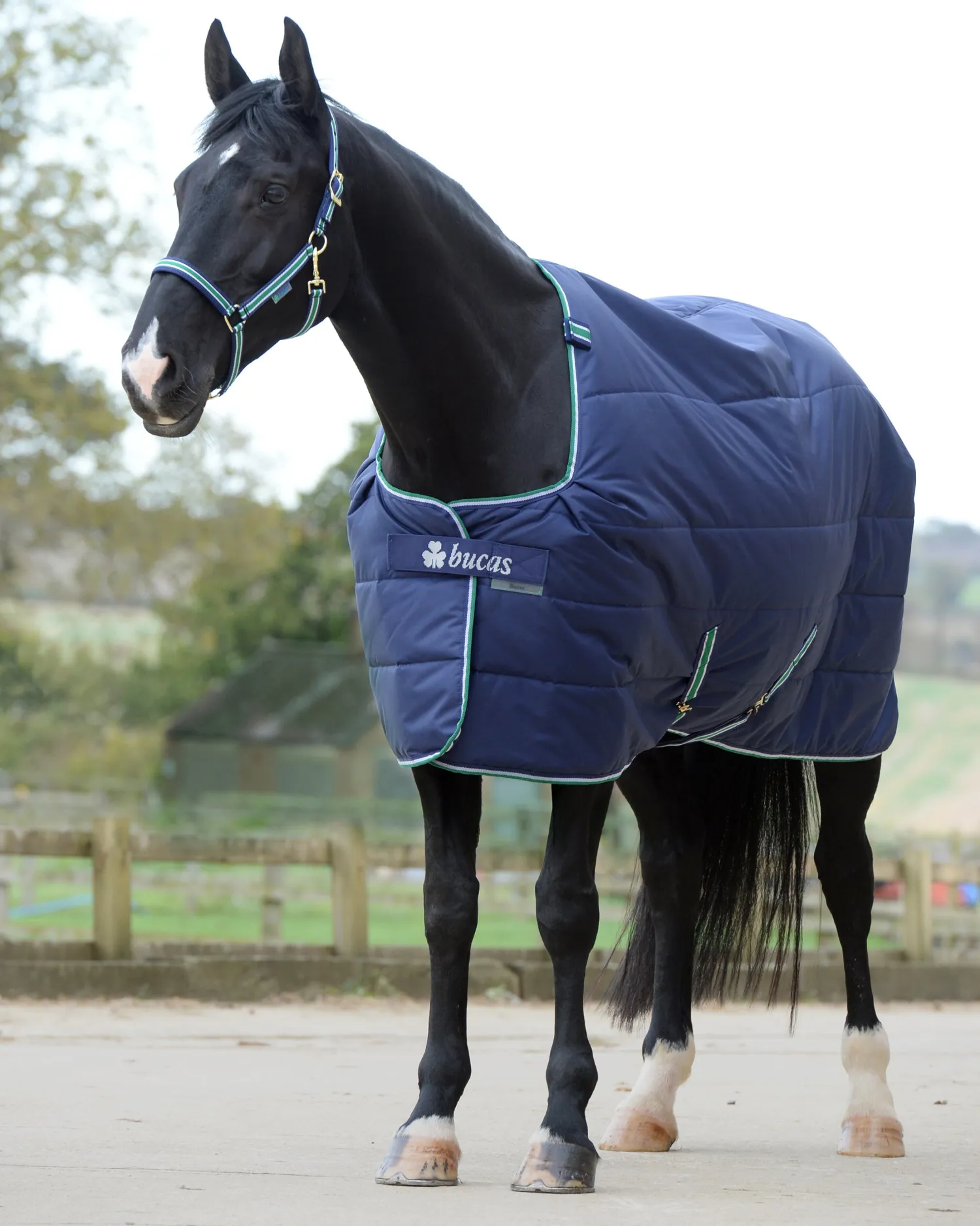 TOKLAT ORIGINALS Bucas Quilt Medium-Weight Stable Blanket with Stay Dry™ Lining - 150 grams Navy Online