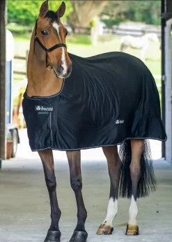 TOKLAT ORIGINALS Bucas Shamrock Power Cooler Best