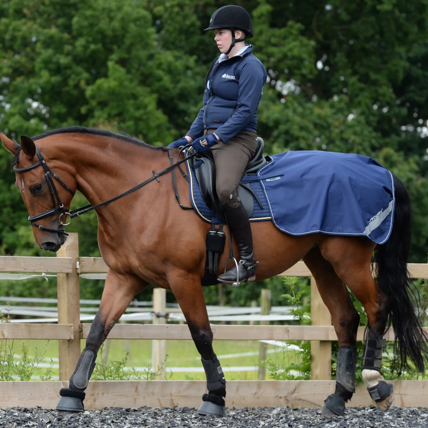 TOKLAT ORIGINALS Bucas Therapy Quarter Sheet Navy New