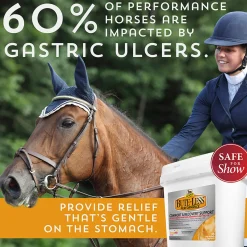 ANIMAL HEALTH INT Bute-Less® Performance Comfort & Recovery Pellets Clearance