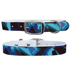 SWYFT PRINTS/C4 C4 Dog Collar Sale