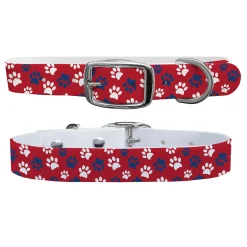 SWYFT PRINTS/C4 C4 Dog Collar Sale