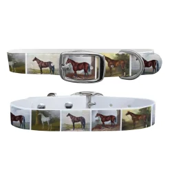 SWYFT PRINTS/C4 C4 Equine Print Dog Collar Best