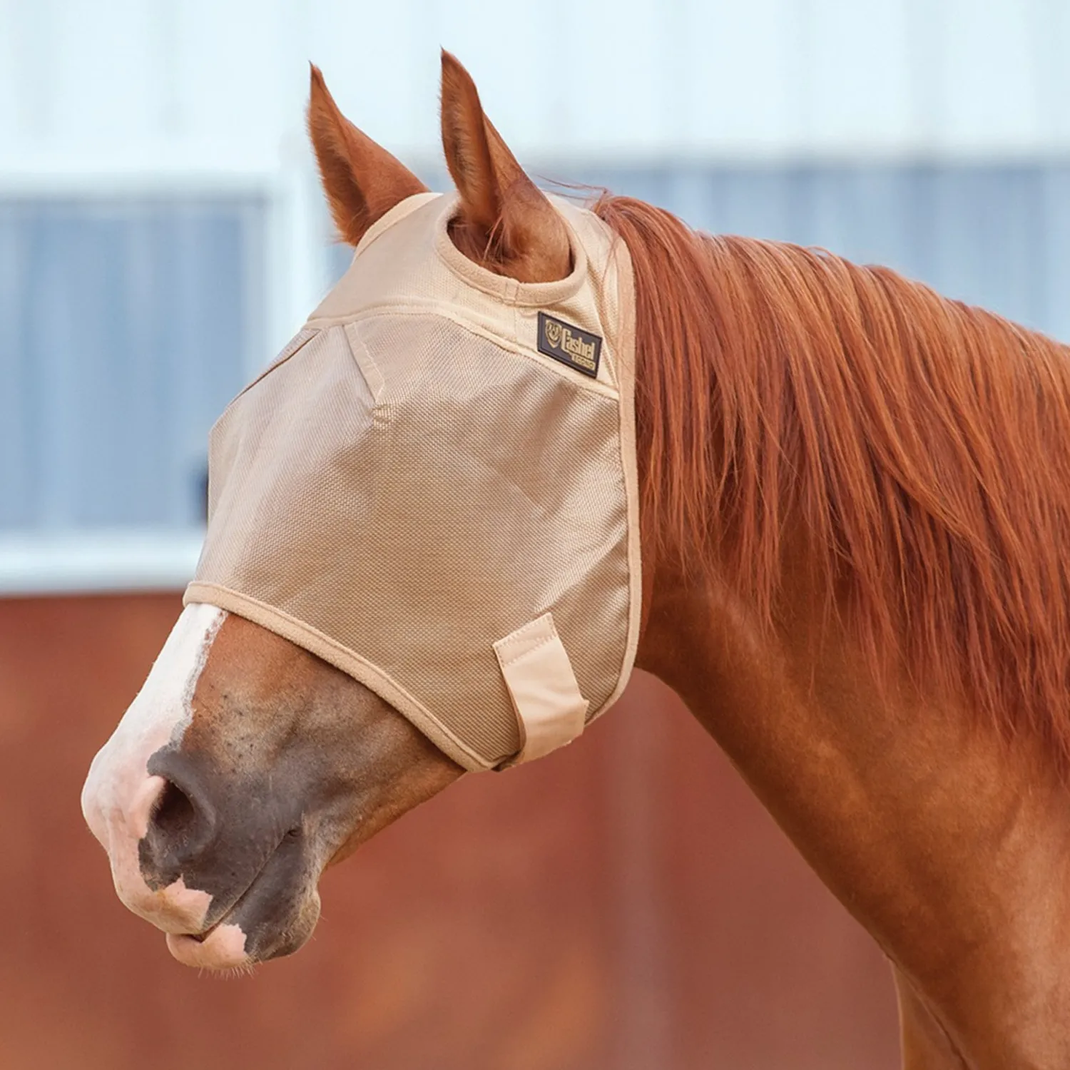 CASHEL COMPANY Cashel® Econo Fly Mask Gold Clearance