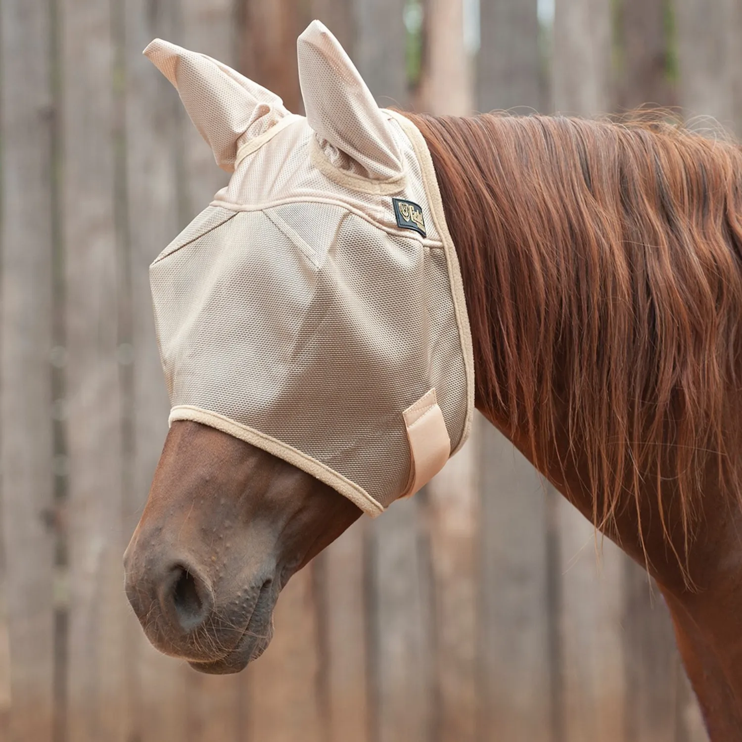 CASHEL COMPANY Cashel® Econo Fly Mask with Ears Gold New