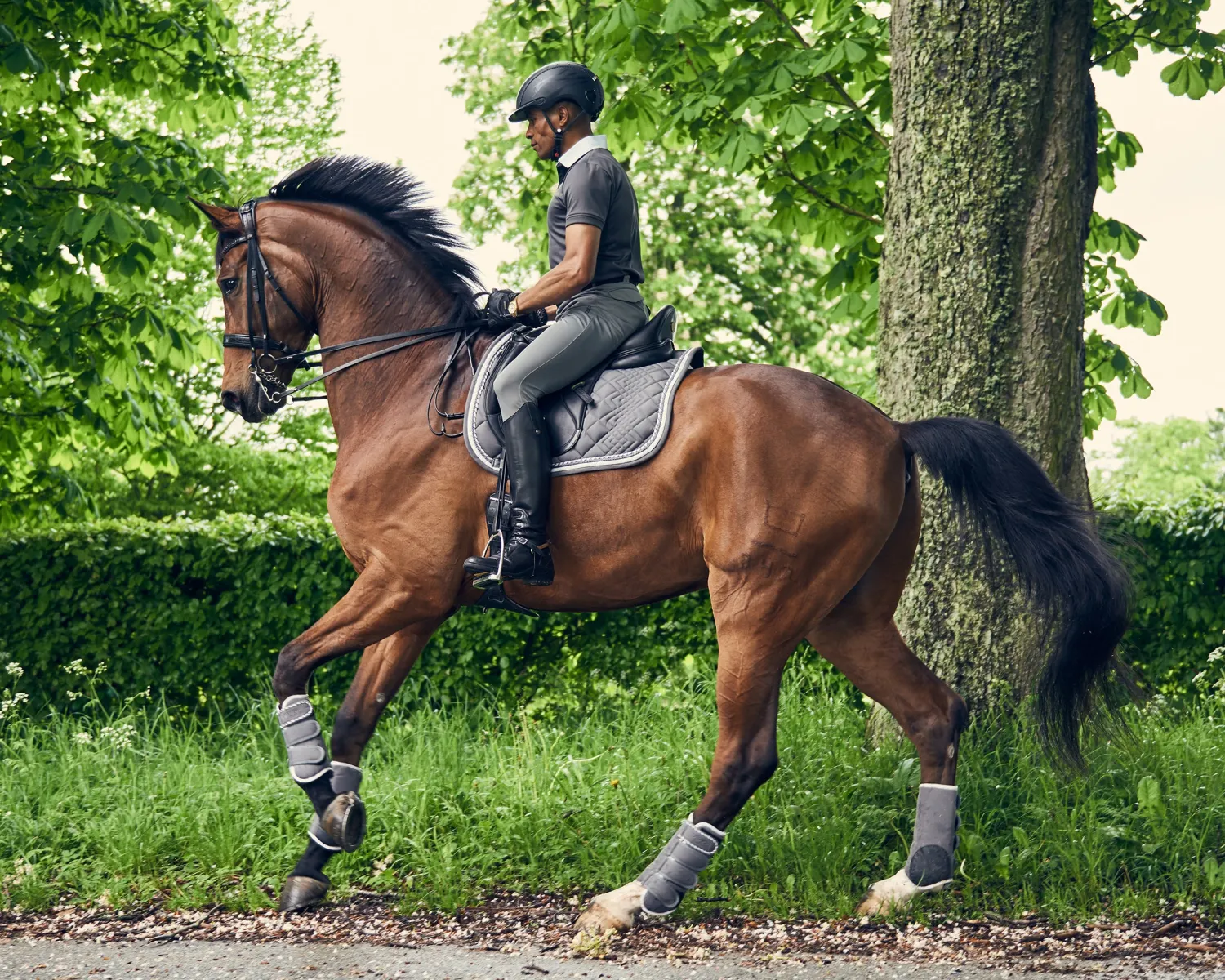 ERS Catago® Diamond Dressage Pad Outlet