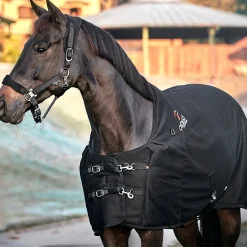 ERS Catago® FIR-Tech Rug Best