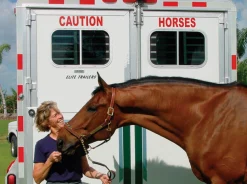 CAUTION HORSES SAFET Caution Horses Sign