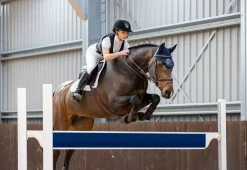 CHARLES OWEN Adults’ Shadow Back Protector Black Online