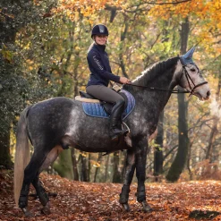 CHARLES OWEN AYR8® Plus Helmet Black Online