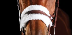 WEATHERBEETA Collegiate® ComFiTec™ Sheepskin Bridle Discount