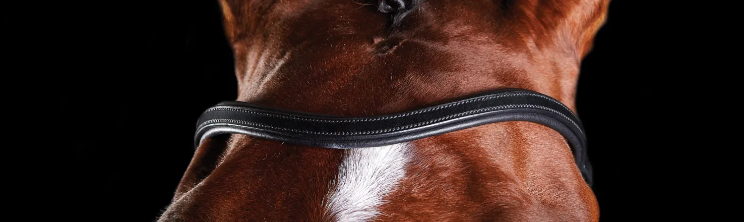 WEATHERBEETA Collegiate® ComFiTec™ Training Bridle Clearance