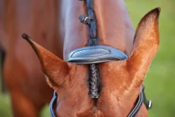 WEATHERBEETA Collegiate® ComFiTec™ Training Bridle Clearance