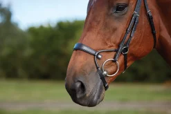 WEATHERBEETA Collegiate® ComFiTec™ Training Bridle Clearance