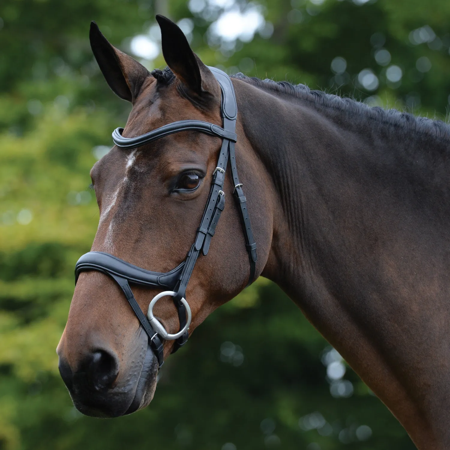 WEATHERBEETA Collegiate® ComFiTec™ Vogue Anatomic Bridle Clearance