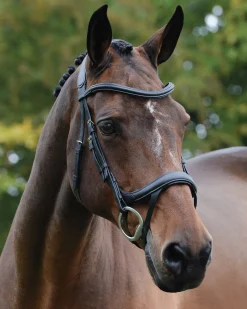 WEATHERBEETA Collegiate® ComFiTec™ Vogue Anatomic Bridle Clearance