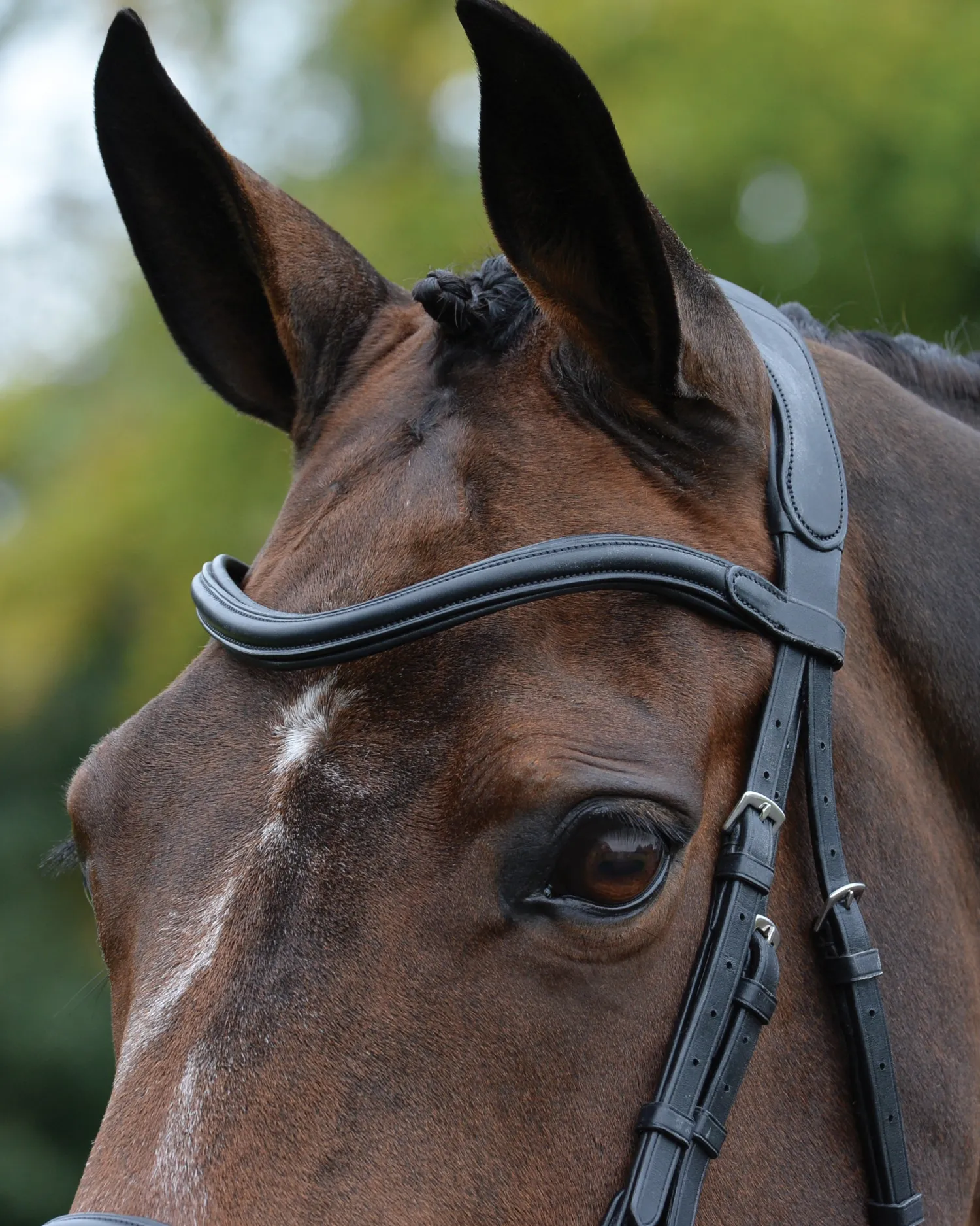 WEATHERBEETA Collegiate® ComFiTec™ Vogue Anatomic Bridle Clearance