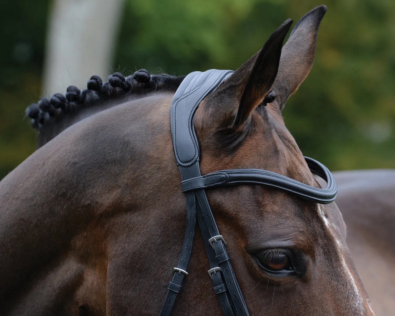 WEATHERBEETA Collegiate® ComFiTec™ Vogue Anatomic Bridle Clearance