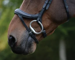 WEATHERBEETA Collegiate® ComFiTec™ Vogue Anatomic Bridle Clearance
