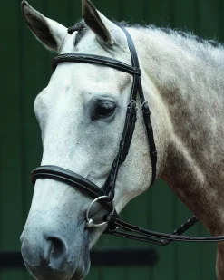 WEATHERBEETA Collegiate® Essential Padded Raised Fancy-Stitched Caveson Bridle Brown Sale