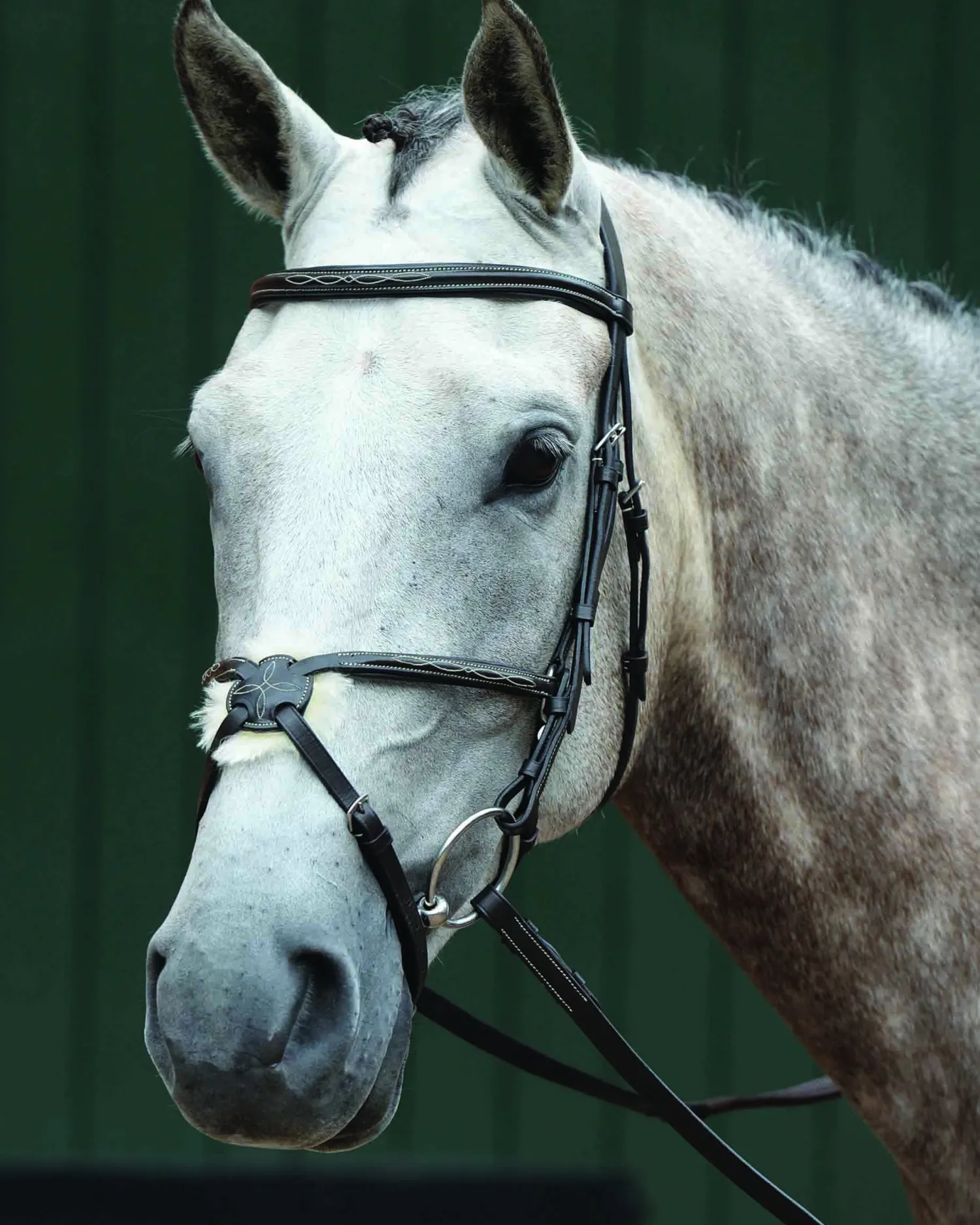 WEATHERBEETA Collegiate® Essential Padded Raised Fancy-Stitched Figure-8 Bridle Brown