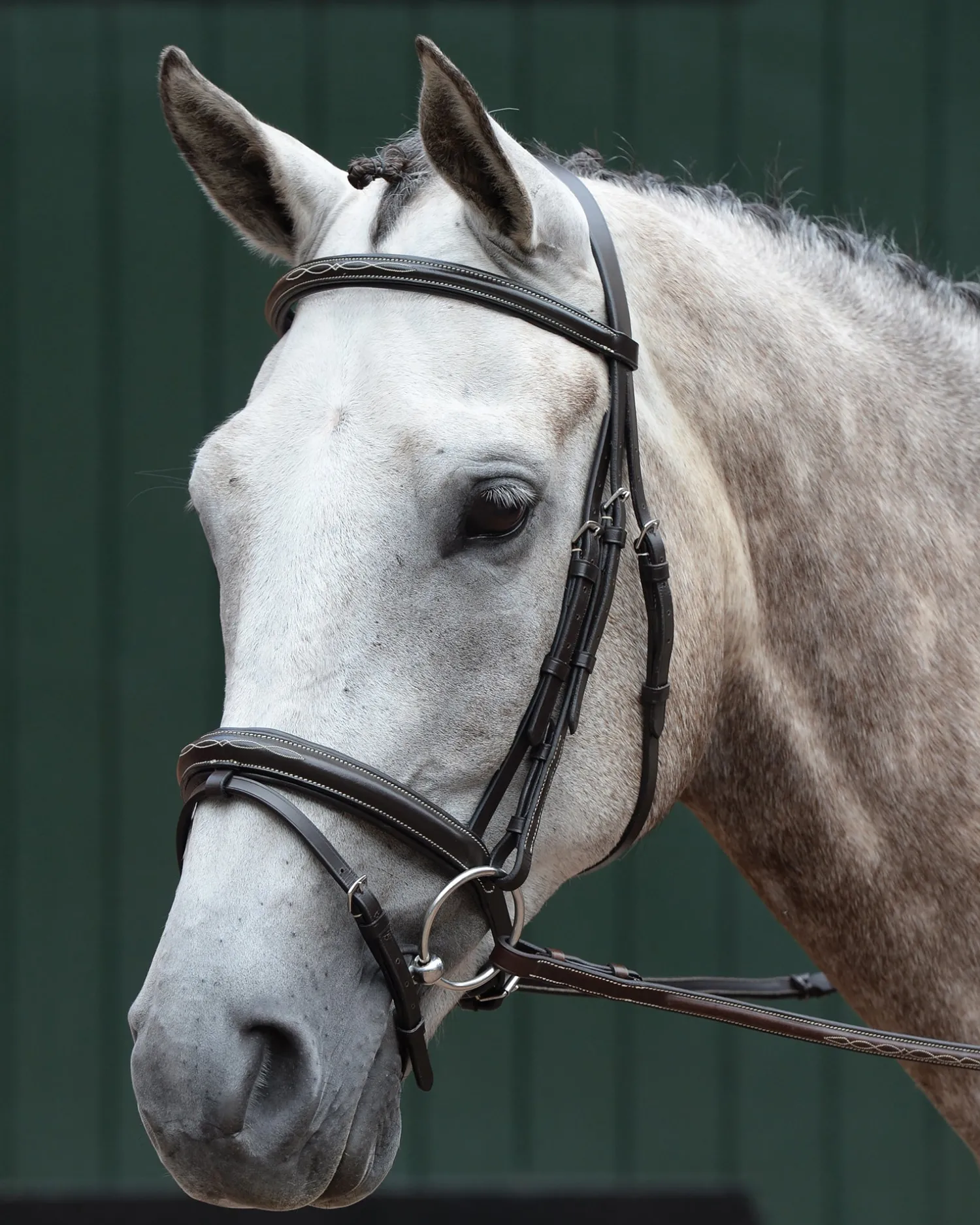 WEATHERBEETA Collegiate® Essential Padded Raised Fancy-Stitched Flash Bridle Brown