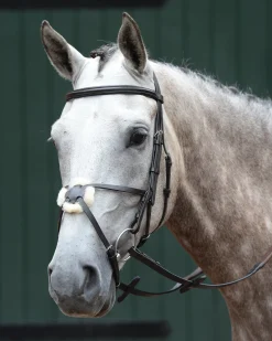 WEATHERBEETA Collegiate® Essential Padded Raised Figure-8 Bridle Outlet