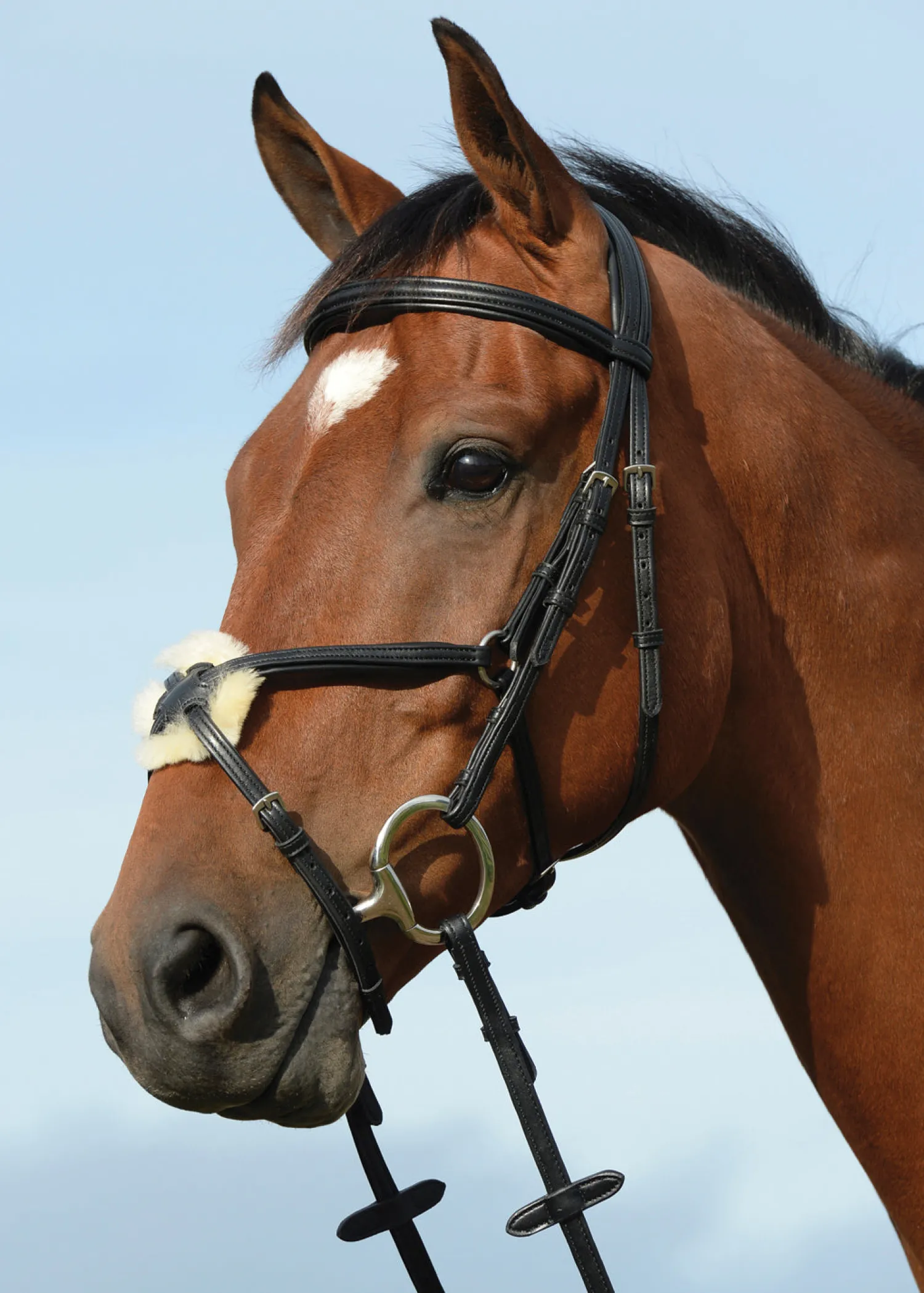 WEATHERBEETA Collegiate® Syntovia+ Padded Raised Figure-8 Bridle Online
