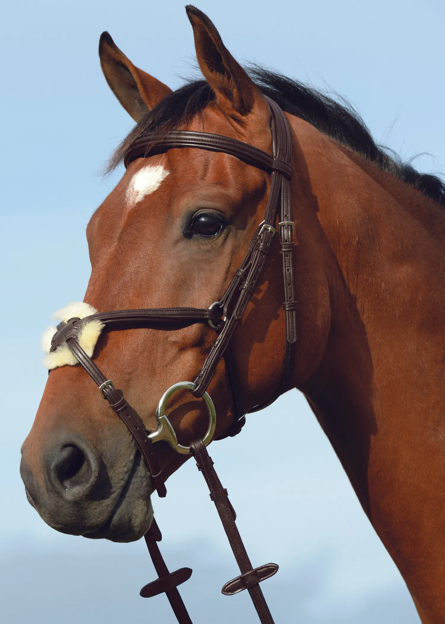 WEATHERBEETA Collegiate® Syntovia+ Padded Raised Figure-8 Bridle Online