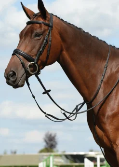 WEATHERBEETA Collegiate® Syntovia+ Plain Flat Running Martingale Sale