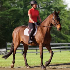 KIRSCH CoolBlast® 100 Ladies’ Leslie Short Sleeve Sun Shirt Online