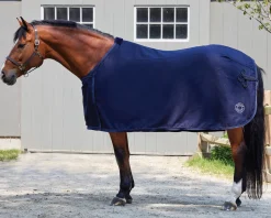 TEXT HORSE DS Awards Cooler Navy Clearance